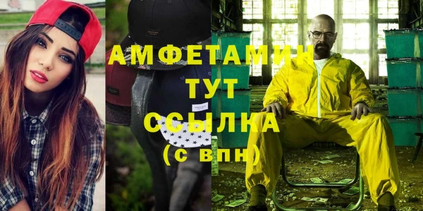 индика Армянск