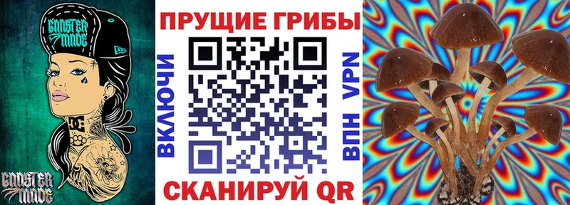 Галлюциногенные грибы мицелий  Обнинск 